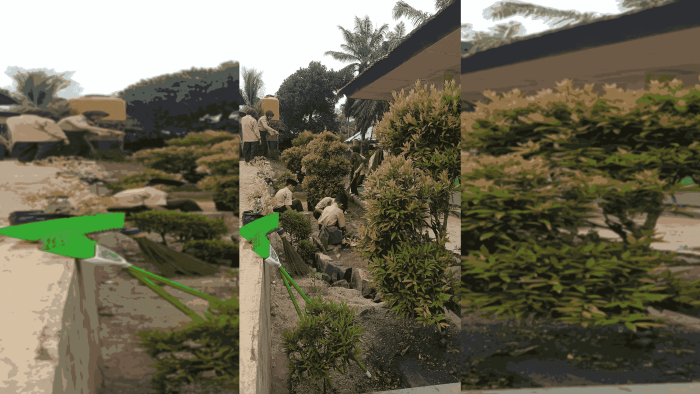 Siswa MTsN 2 Bungo Gelar Aksi Bersih Hijau Berseri