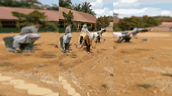Guru MTsN 2 Bungo Laksanakan Kegiatan Penanaman Rumput untuk Penghijauan Lapangan Madrasah