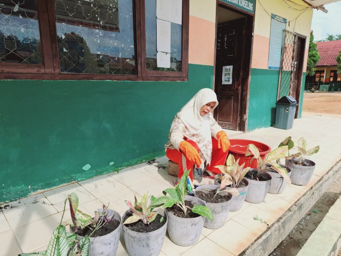 Guru MTsN 2 Bungo Rawat Tanaman Hias di Sekolah