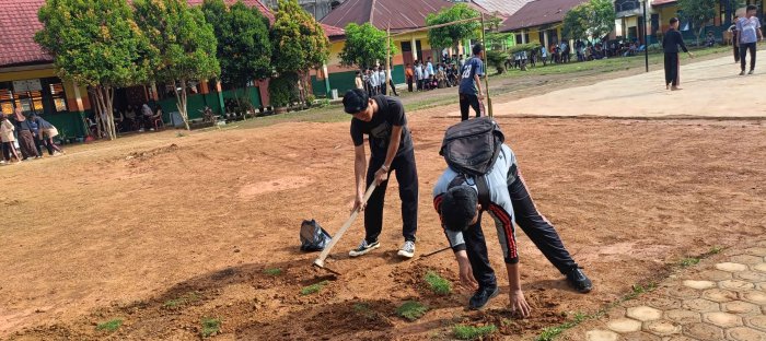 Penanaman Rumput untuk Penghijauan di MTsN 2 Bungo