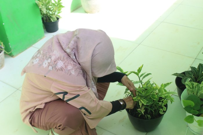 Sentuhan Dingin Ibu Gusriyanti: Pastikan Estetika dan Kesegaran Taman Kelas VII B Tetap Terjaga Sentuhan Dingin Ibu Gusriyanti: Pastikan Estetika dan Kesegaran Taman Kelas VII B Tetap Terjaga